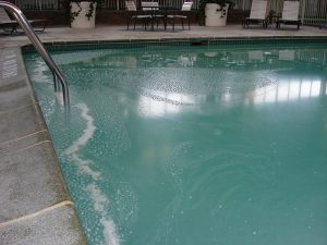 non-living organic pollutants in pool
