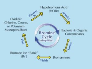 Figure 1: The bromine cycle.